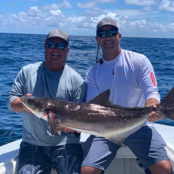 attorney bio pictures